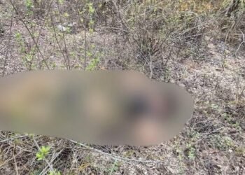 Segundo corpo é encontrado em morro de Junqueiro