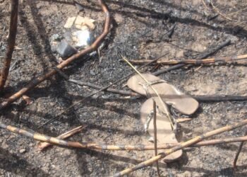 Polícia divulga imagens de objetos achados com ossada