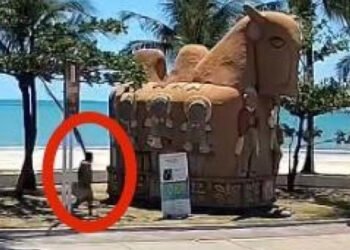 Câmeras flagram homem que ateou fogo em escultura em Maceió