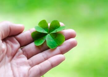 Quer atrair sorte? Veja 3 simpatias para iniciar a semana