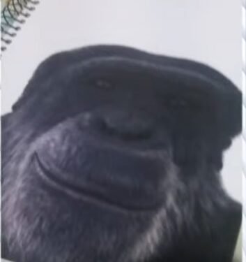 Professor que comparou aluno a chimpanzé é indiciado pela PC