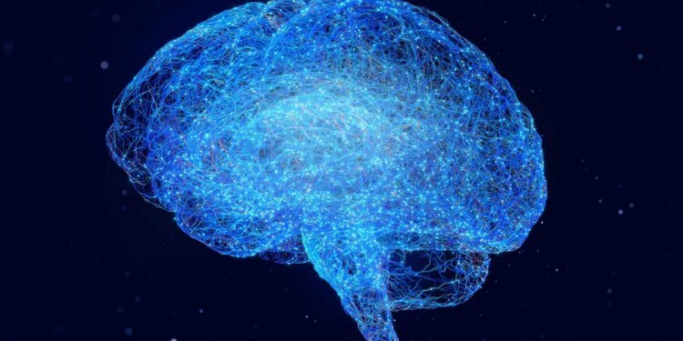 Ciência recupera atividade em cérebro congelado pela 1ª vez