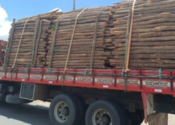 Fiscalização da PRF flagra cargas irregulares com destino a Alagoas na BR-316