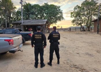 MPF quer leiloar carros de grupo ligado ao maior devastador da Amazônia