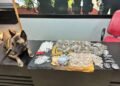 PM apreende cerca de 2 mil pedras de crack, munições e outras drogas