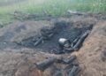 Operação Protetor dos Biomas intensifica combate a crimes ambientais em Alagoas