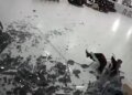 VÍDEO: vento derruba vidraça em cima de trabalhador durante temporal