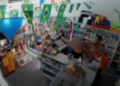 foragido é preso após fazer funcionárias de pet shop reféns