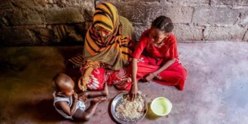 Fome global diminui pelo terceiro ano consecutivo, aponta relatório da ONU