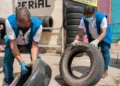 TRE autoriza campanha institucional de combate à dengue durante período eleitoral  