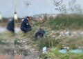 Homem é preso após tentar matar outro a pedradas em Ceilândia
