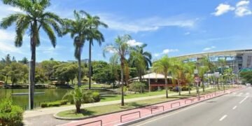 Corpo enrolado em carpete é encontrado dentro de manancial natural