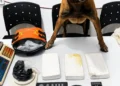 Homem é preso por tráfico de drogas na Baixa da Onça, em Arapiraca; PM apreendeu cocaína