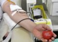 Hemoal já está adotando novas regras para doação de sangue determinadas pelo Ministério da Saúde – AMA